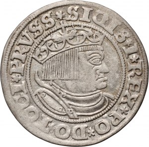 Sigismond Ier le Vieux, centime 1532, Toruń