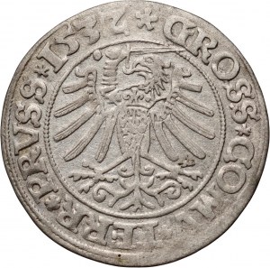 Sigismund I. der Alte, Pfennig 1532, Toruń