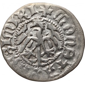 Kazimierz IV Jagiellończyk 1446-1492, półgrosz bez daty, Kraków