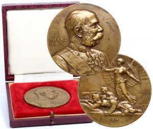 Austria, Francesco, medaglia commemorativa 1914, in scatola