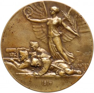 Austria, Francesco, medaglia commemorativa 1914, in scatola