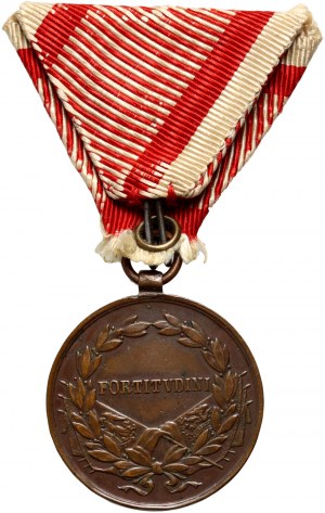 Rakousko-Uhersko, Karel I., Bronzová medaile za odvahu