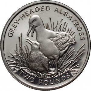 South Georgia and the South Sandwich Islands, Elizabeth II, 2 Pounds 2006 PM, Surrey, Gray-headed Albatross
