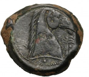 Cartagine, Sardegna, 300-264 a.C., bronzo