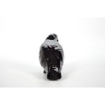 Sylwia WALANIA-TELEGA (nar. 1995), Černý holub, 2023