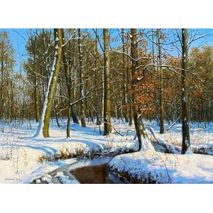 Wojciech Piekarski, Winterlandschaft