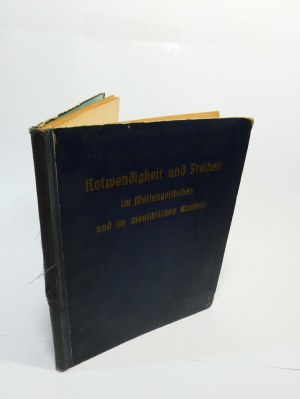 Rudolf Steiner Manuscript Die Notwendigkeit neuer geistiger Erkennt Need for New Intellectual Recognitions