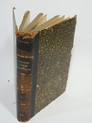 Handbook of internal diseases Dieulafoy Zawadzki 1903