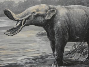 Adam Werka - Prehistoric Animals I