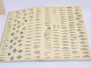 Atlas of fish of the North Atlantic / Andrzej Klimaj, Stanislaw Rutkowicz ;