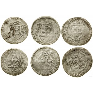 Polska, zestaw 3 x trzeciak koronny, (po 1407)