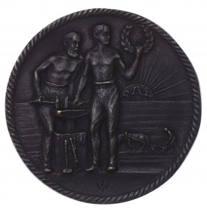 Medal, by Jan Wysocki, cast bronze - FRIEDEN 1919