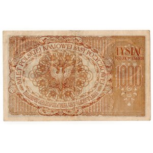 Polen, 1 000 polnische Mark 1919, Serie ZE