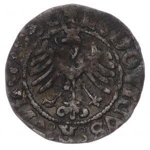 Śląsk, Świdnica, Ludwik Jagiellończyk, Półgrosz 1520