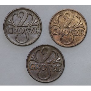 Poland, Second Republic, 2 pennies 1937, 1938 and 1939 - 3 pieces