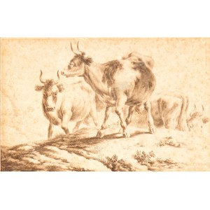 Artista olandese, XVII secolo, Landscape with three bulls