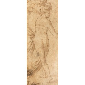 Parmigianino Girolamo Francesco Maria Mazzola, Ninfa