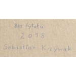 Sebastian Krzywak (geb. 1979, Zielona Góra), Ohne Titel, 2018