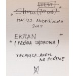 Maciej Andrzejczak (geb. 1992), Ekran (Atomtest), 2019