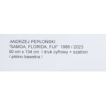 Andrzej Peplonski (b. 1954, Bydgoszcz), Samoa, Fiji, Florida, 1986/2023