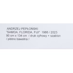 Andrzej Pepłoński (nar. 1954, Bydgoszcz), Samoa, Fidži, Florida, 1986/2023