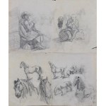 Piotr MICHAŁOWSKI (1800-1855), Sketches of Characters and Horses