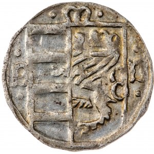Śląsk, Księstwo Oleśnickie - Konrad X Biały (Młodszy) 1450-1492, halerz 1471-1490, Wołów, bardzo rzadki typ monety, R4