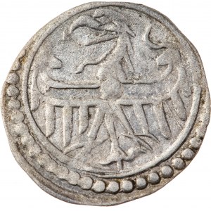 Śląsk, Księstwo Głogowsko -Żagańskie –Henryk IX Starszy, halerz 1446-1467 , Lubin, R3