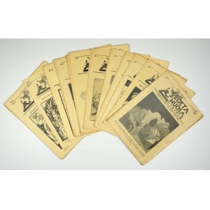 ŻÓŁTA Mucha Tse-Tse. R. 1932 (z brakami).