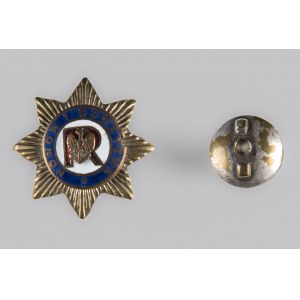 Odznaka Związku Rezerwistów, oficerska