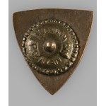 Odznaka Towarzystwa Szkoły Ludowej 1891 1931
