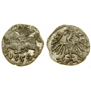 Poland, denarius, 1554, Vilnius