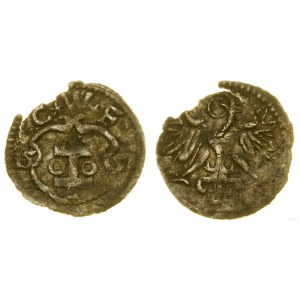 Poľsko, denár, 1551, Wschowa