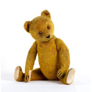 German teddy bear