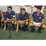 Football, Italy, FIORENTINA signed team photo 1964
