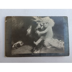 POSTKARTE POLNISCHE MALEREI STYKA SIEGREICHES KIND LÖWE VORKRIEGSZEIT 1929