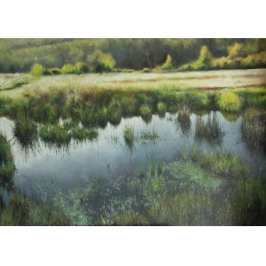 KONRAD HAMADA, SUMMER WETLANDS, 2018