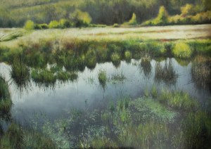 KONRAD HAMADA, SUMMER WETLANDS, 2018