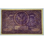1 000 poľských mariek 1919 - I Serja AO
