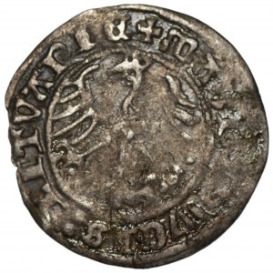 Žigmund I. Starý - polgroš 1516 Vilnius - skrátený dátum