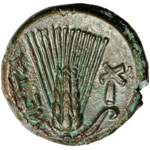 Grecja, Lukania, Metapont, nominał brązowy, ok. 300-250 przed Chr.