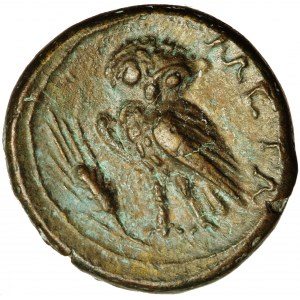 Grecja, Lukania, Metapont, nominał brązowy, ok. 250-207 przed Chr.