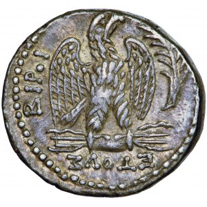Cesarstwo Rzymskie, Neron, tetradrachma, 63-64 po Chr., men. Antiochia