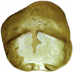 Celtowie, Kotynowie, stater typu łopatkowatego, I w. przed Chr., płn.-zach. Słowacja