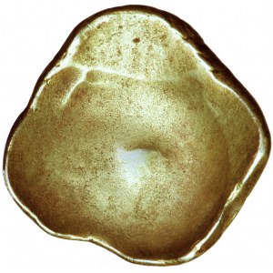 Celtowie, Kotynowie, stater typu łopatkowatego, I w. przed Chr., płn.-zach. Słowacja
