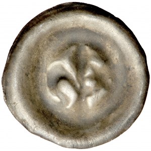 Pomorze Zachodnie, brakteat, 3. ćwierć XIII w., men. Stargard?