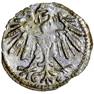 Litwa, Zygmunt August, pieniążek (denar), 1547, men. Wilno