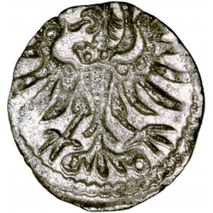 Polska, Zygmunt August, Gdańsk, pieniążek (denar), 1555, men. Gdańsk