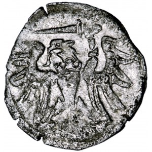 Polska, Zygmunt August, Gdańsk, pieniążek (denar) 1557, men. Gdańsk