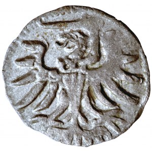 Polska, Zygmunt August, Elbląg, pieniążek (denar), 1555, men. Elbląg